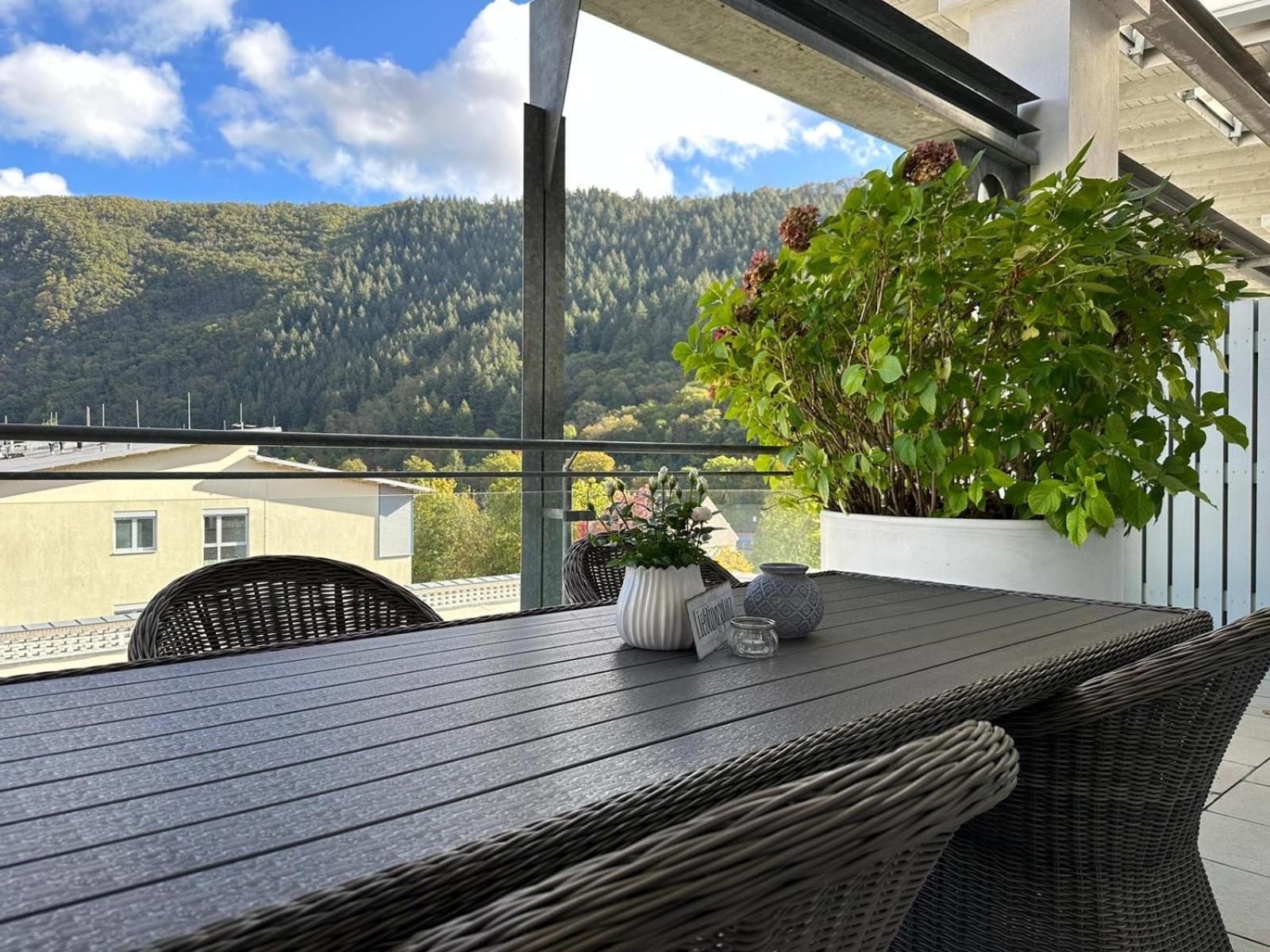 Penthouse Palais Mosel Appartement Verbandsgemeinde Verbandsgemeinde Traben-Trarbach Buitenkant foto