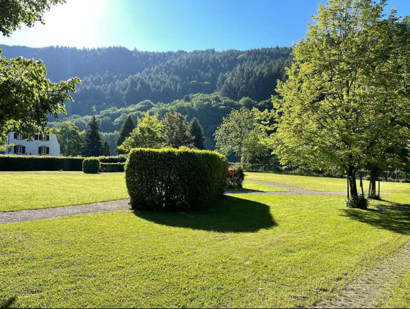 Penthouse Palais Mosel Appartement Verbandsgemeinde Verbandsgemeinde Traben-Trarbach Buitenkant foto